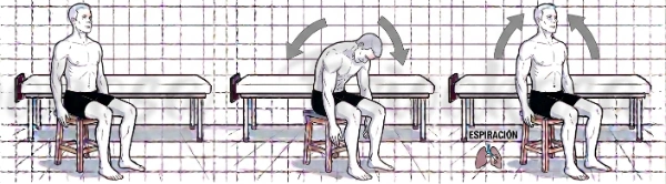 Estiramiento dorsal